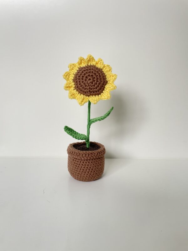 Tournesol