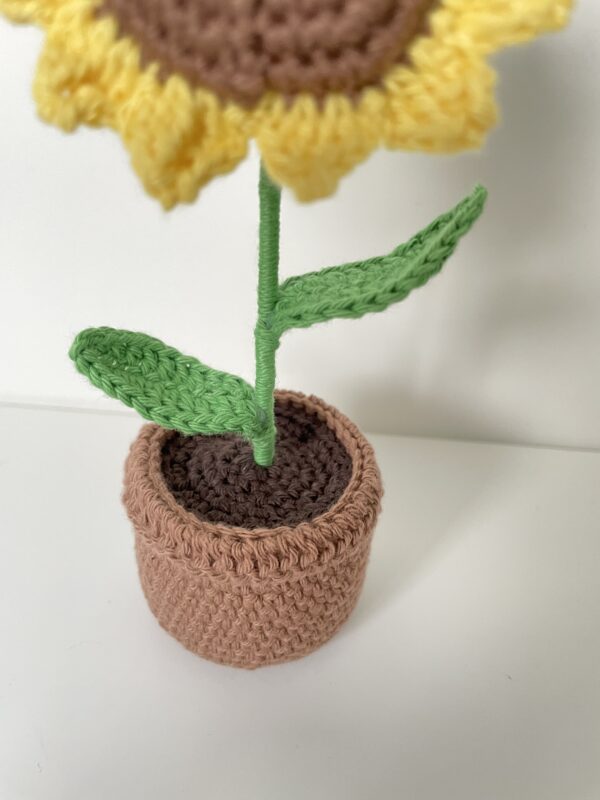 Tournesol – Image 3