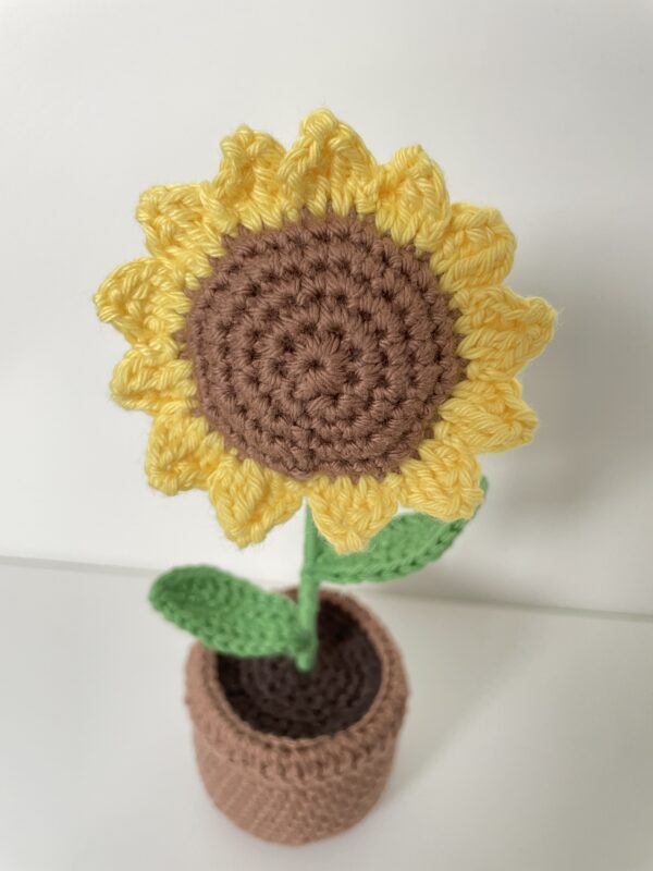 Tournesol – Image 2