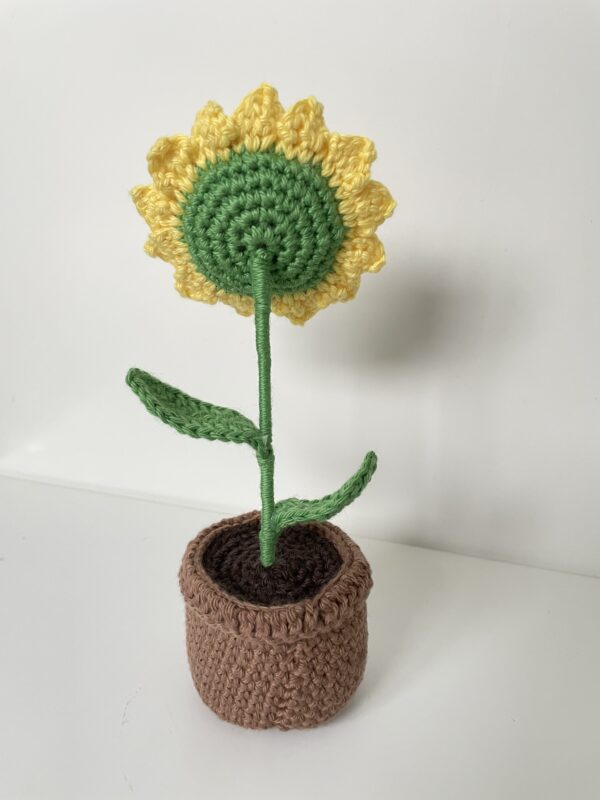 Tournesol – Image 4