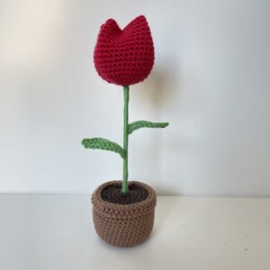 Tulipe