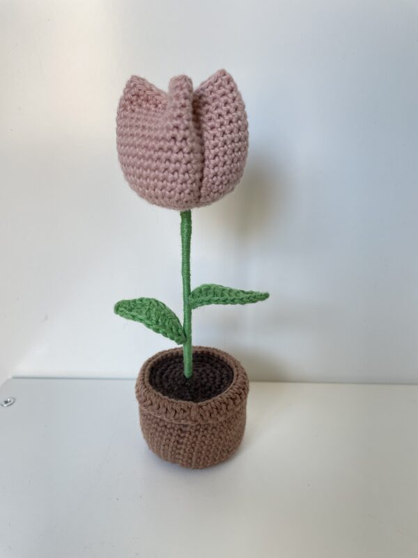 Tulipe – Image 8