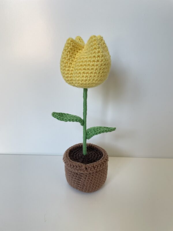 Tulipe – Image 3