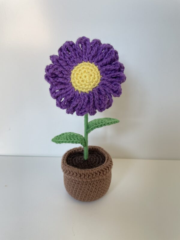Marguerite – Image 7