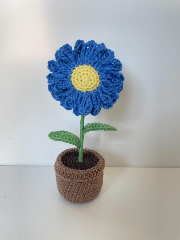 Marguerite – Image 5