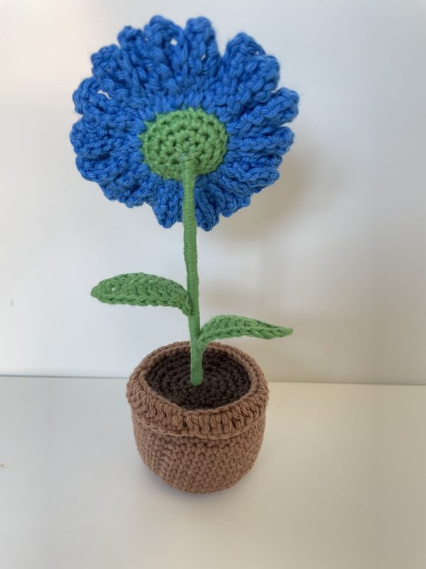 Marguerite – Image 6