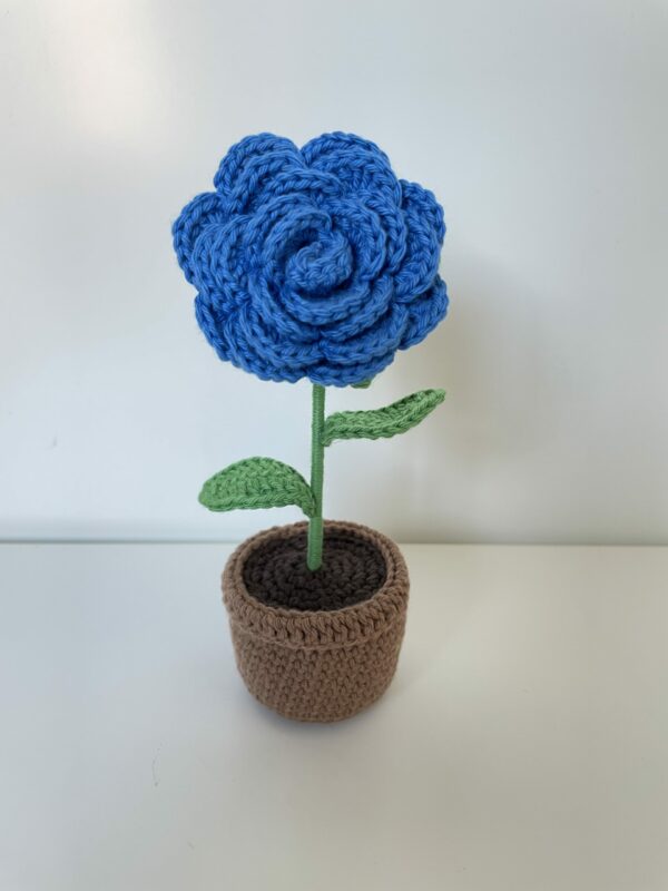 Rose – Image 5