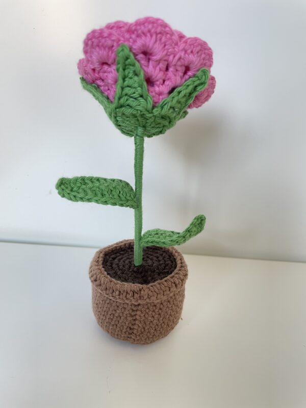 Rose – Image 2