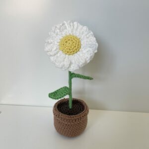 Marguerite