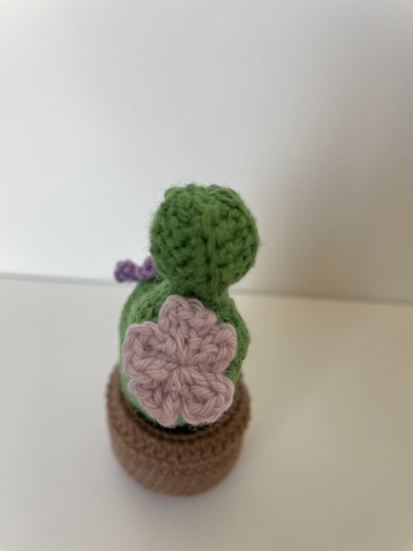 Cactus – Image 4