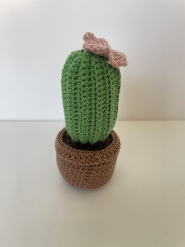 Cactus – Image 3