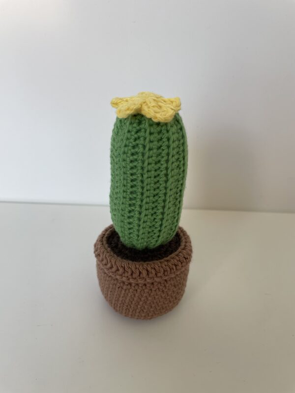 Cactus – Image 4