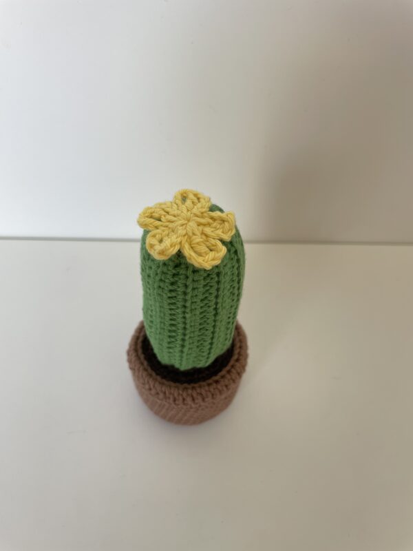 Cactus – Image 5