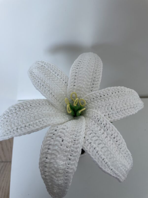 Fleur de Lys – Image 2