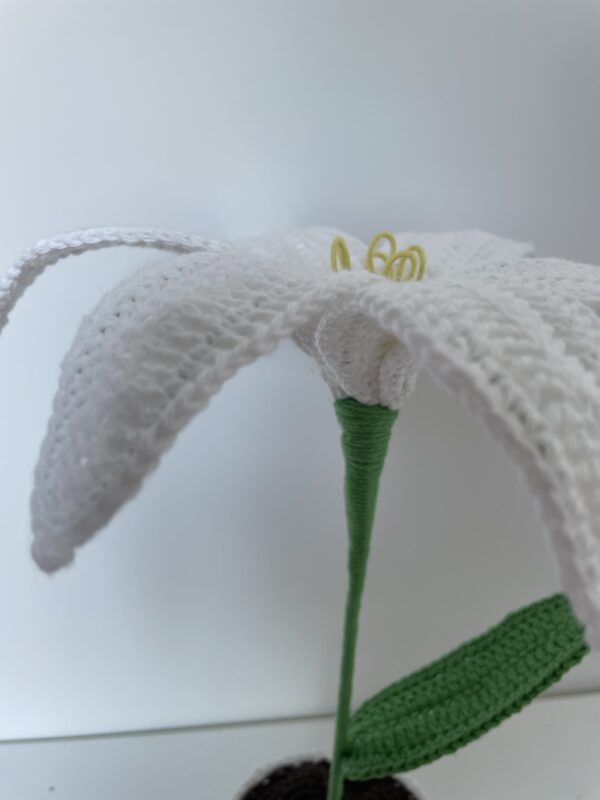 Fleur de Lys – Image 3