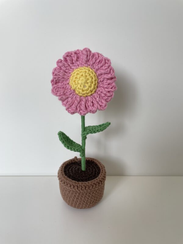 Marguerite – Image 3