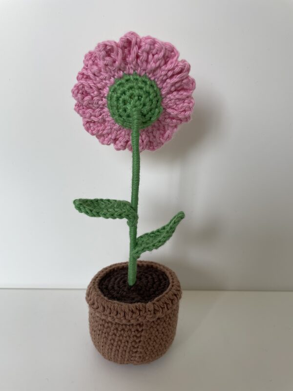 Marguerite – Image 4