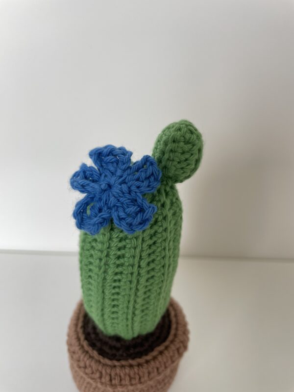 Cactus Ugette – Image 2