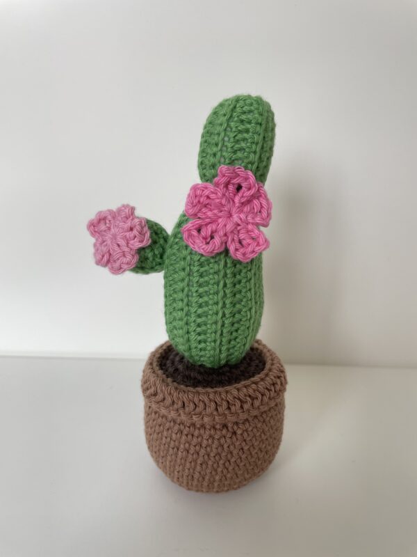 Cactus Georgette