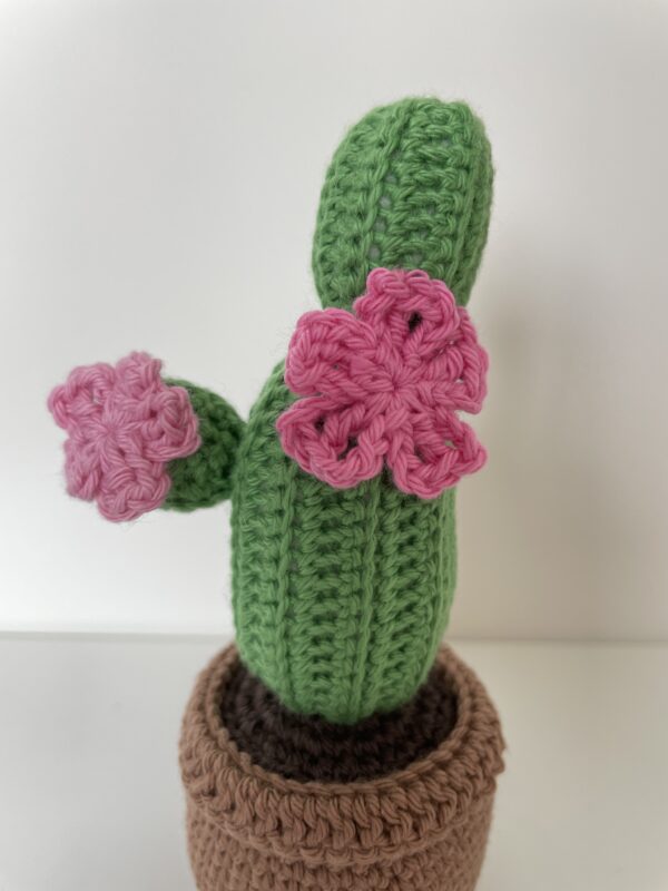 Cactus Georgette – Image 2