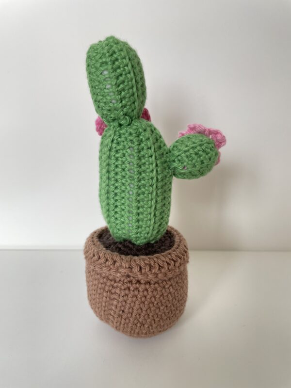 Cactus Georgette – Image 3
