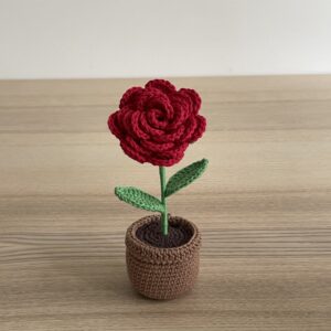 Rose en pot