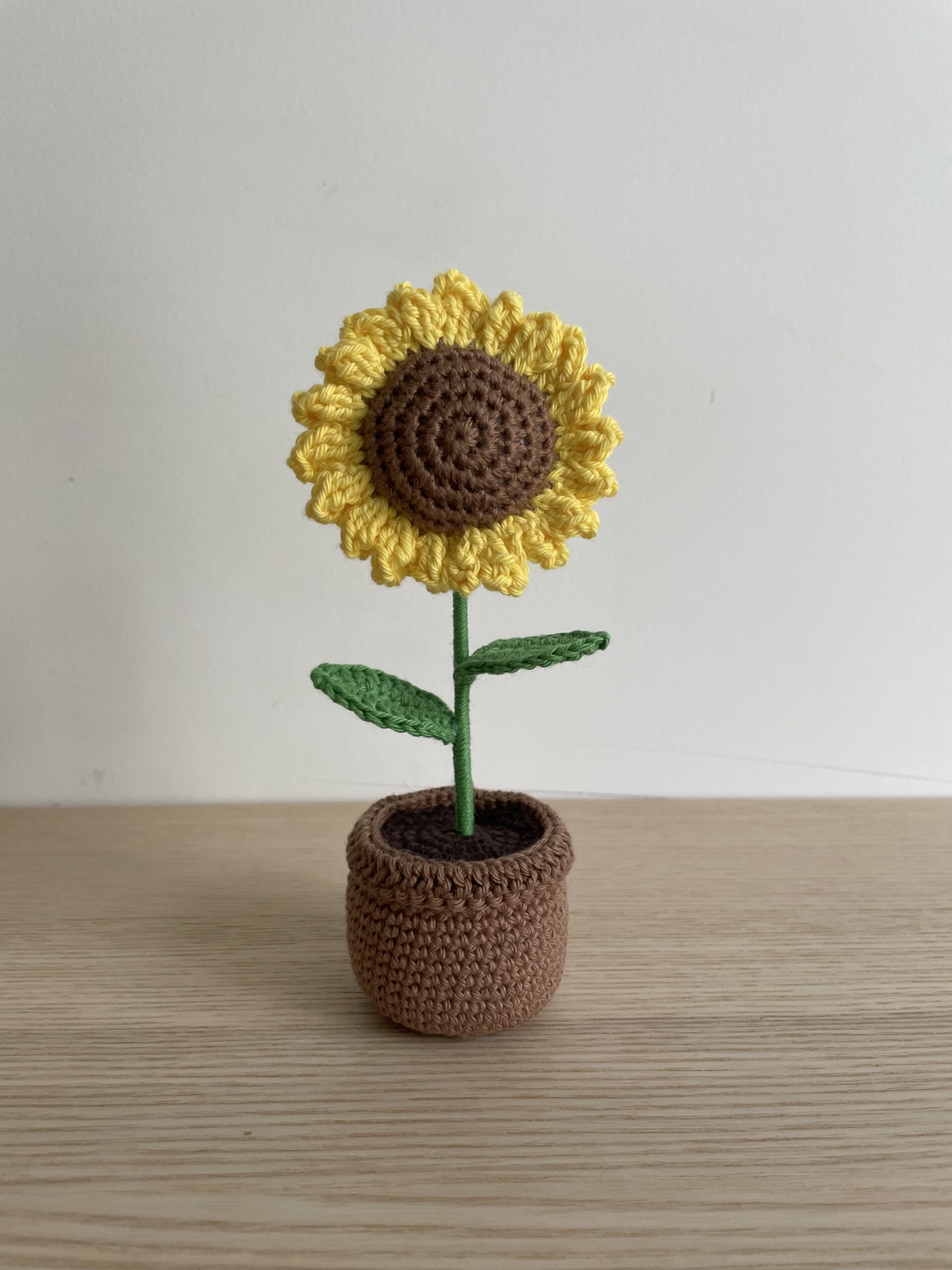 Tournesol en pot - Image 4
