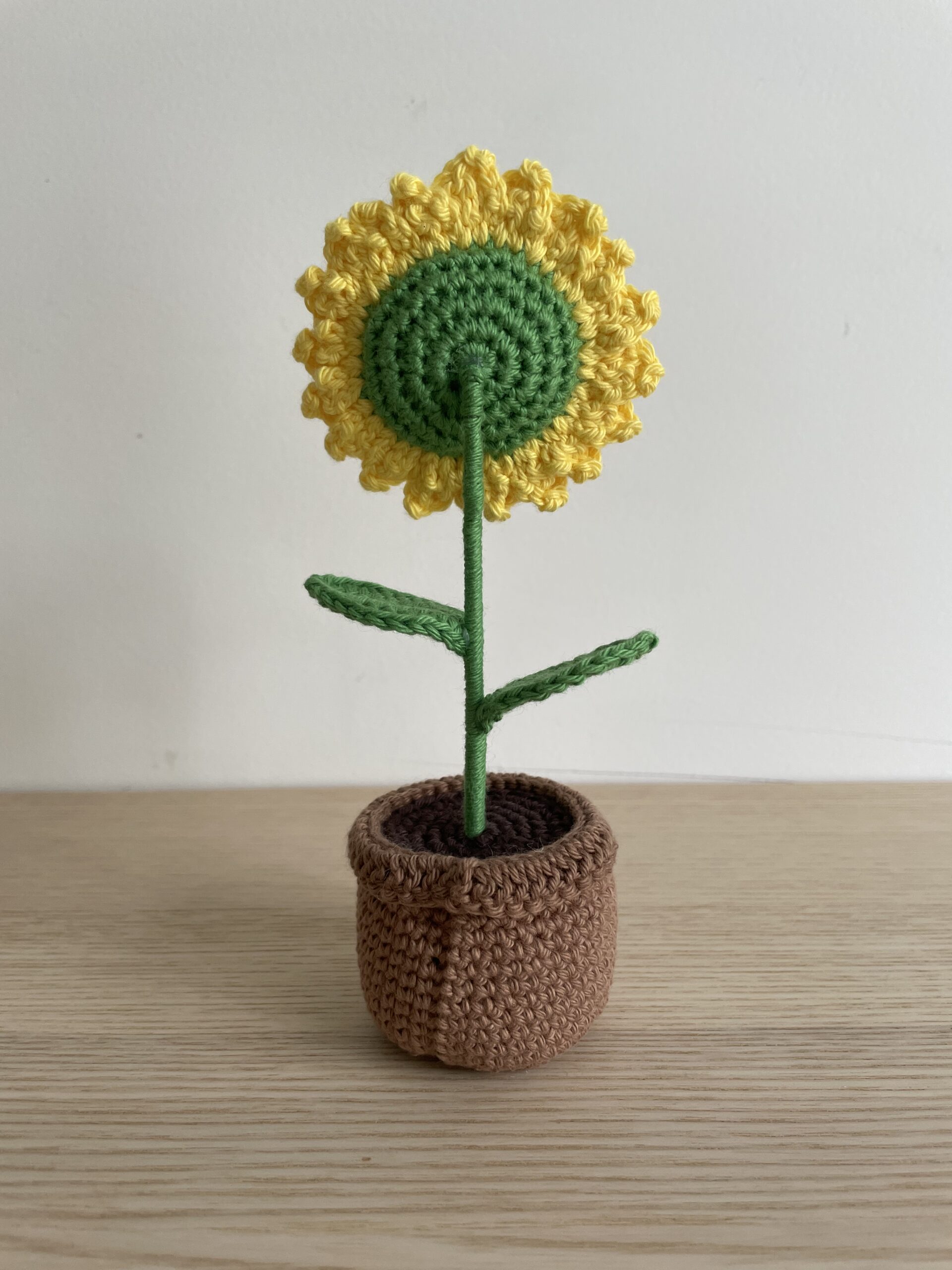 Tournesol en pot - Image 6