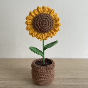 Tournesol en pot