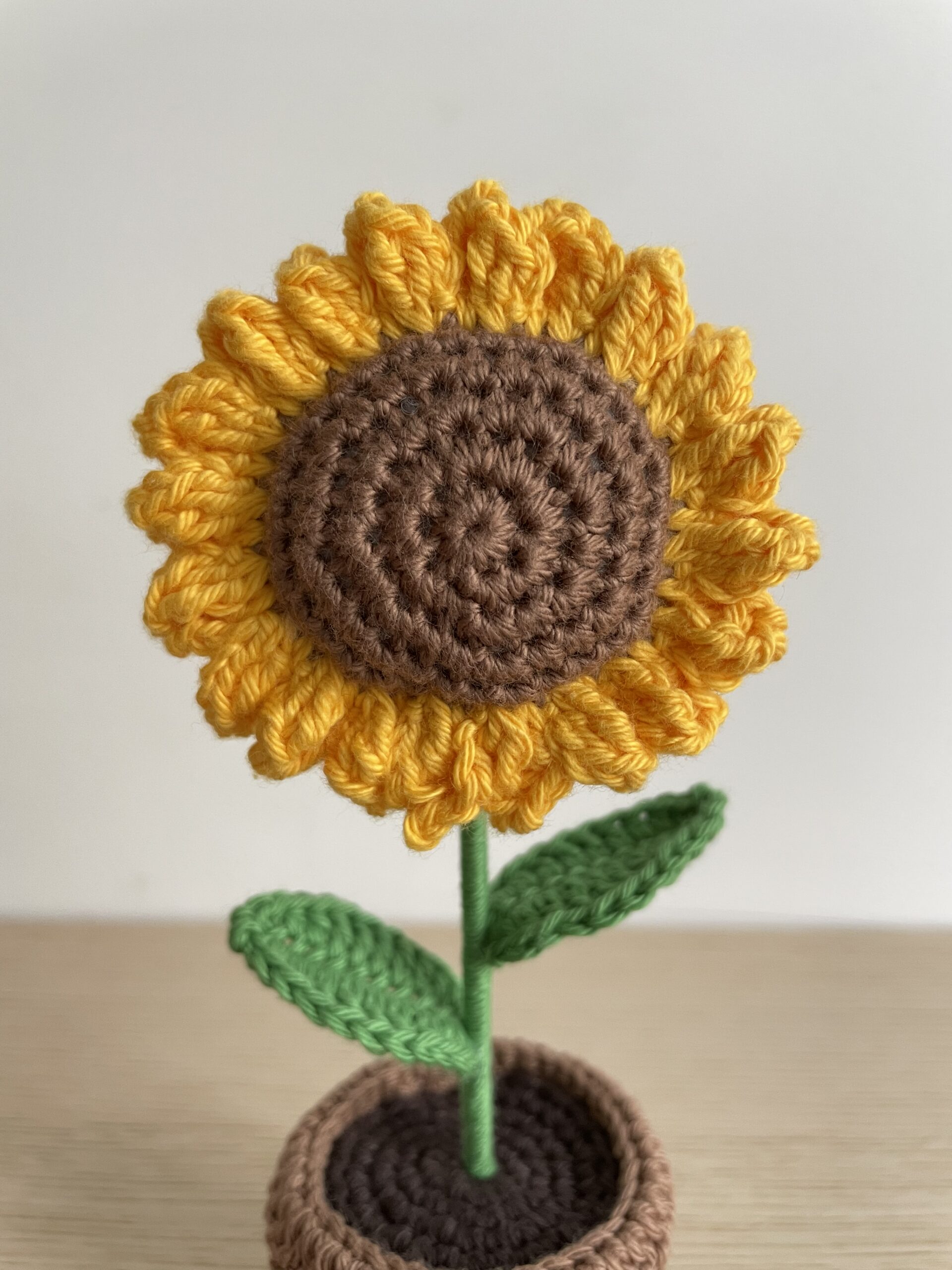 Tournesol en pot - Image 2