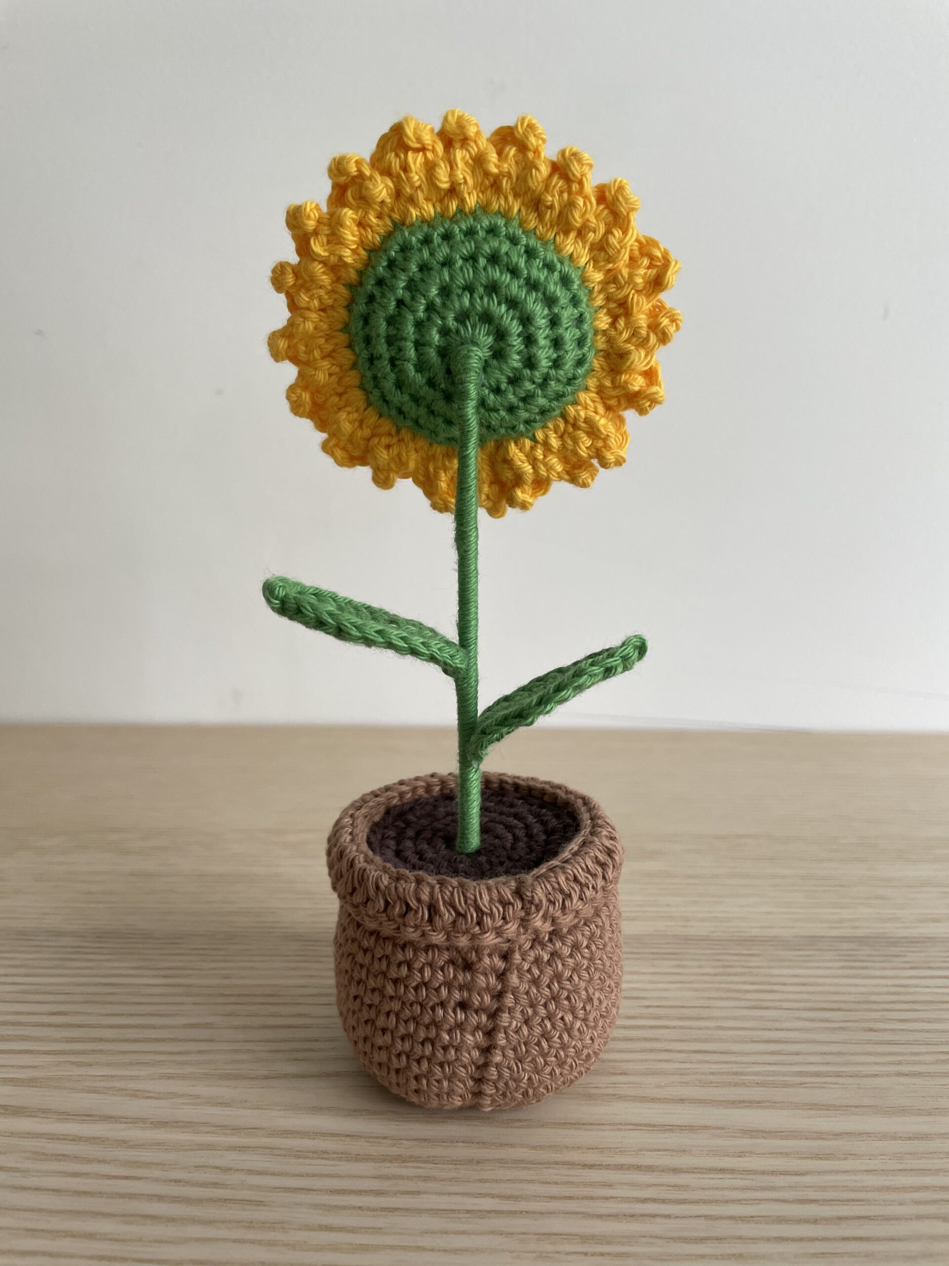 Tournesol en pot - Image 3