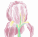 Le Jardin d'Iris en Crochet