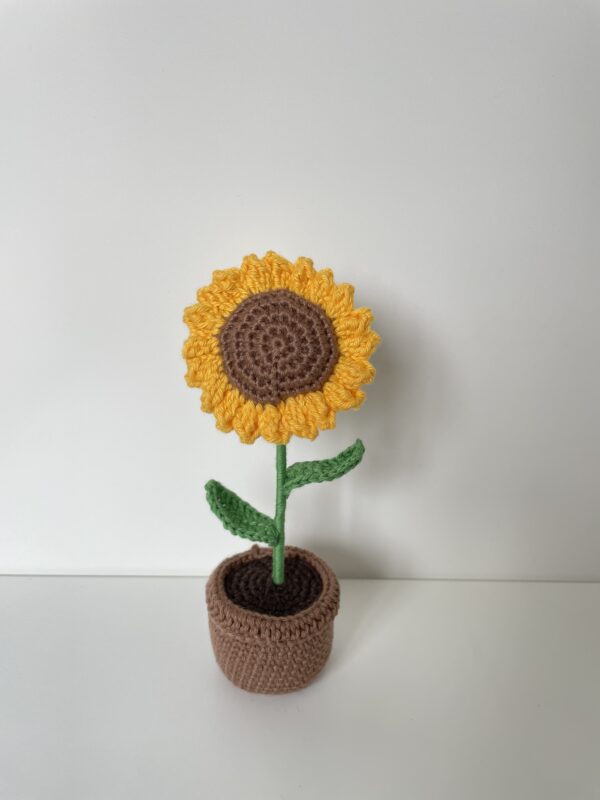 Tournesol – Image 5