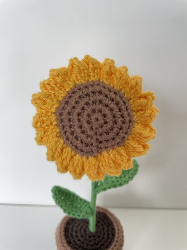 Tournesol – Image 6