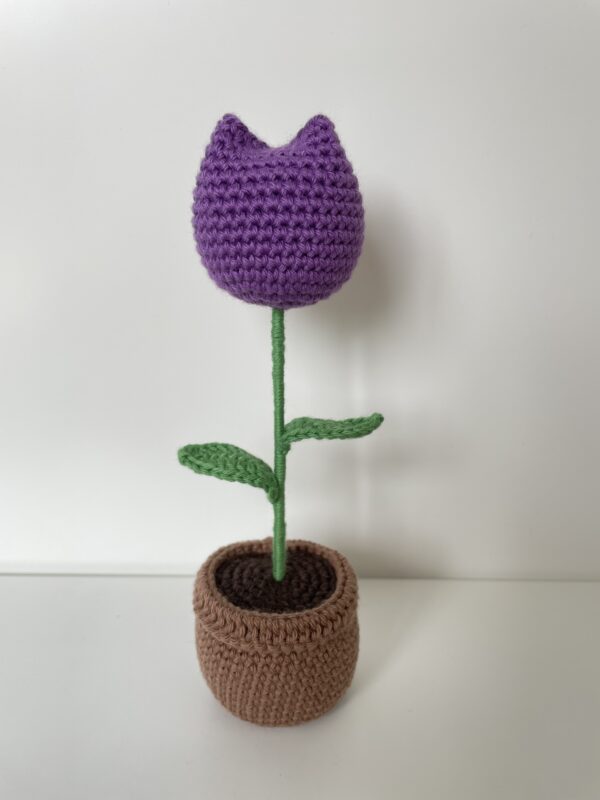 Tulipe en pot – Image 11