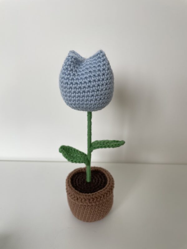 Tulipe en pot – Image 9