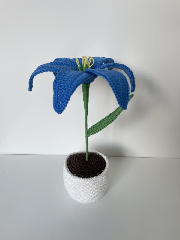 Fleur de Lys en pot – Image 8