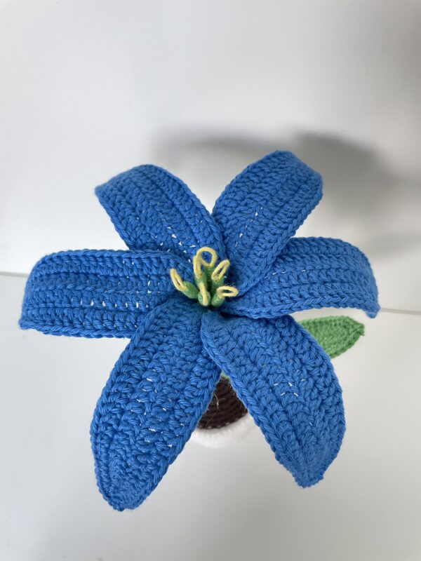 Fleur de Lys en pot – Image 7