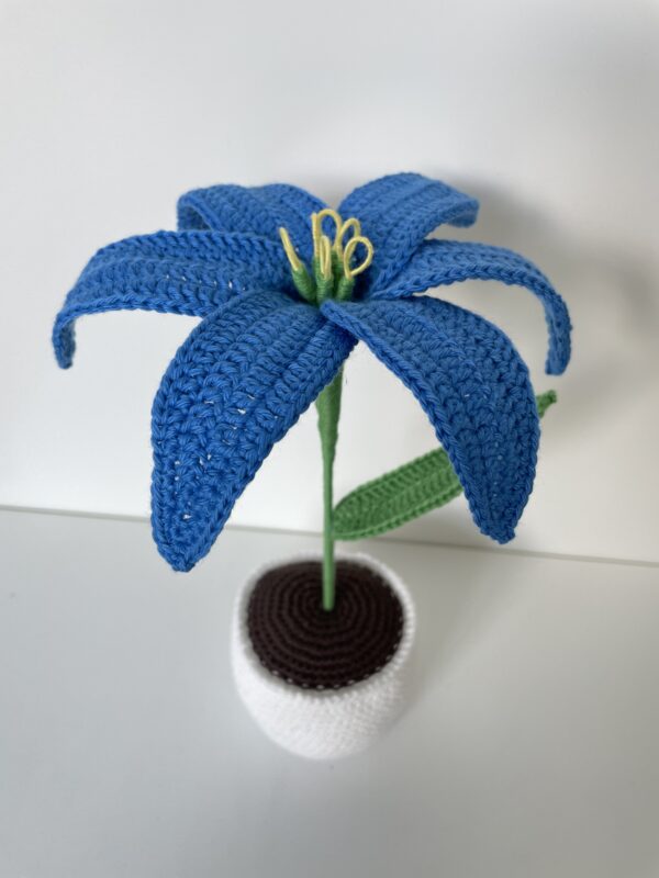 Fleur de Lys en pot – Image 6