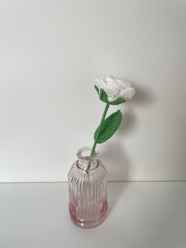 Rose – Image 5