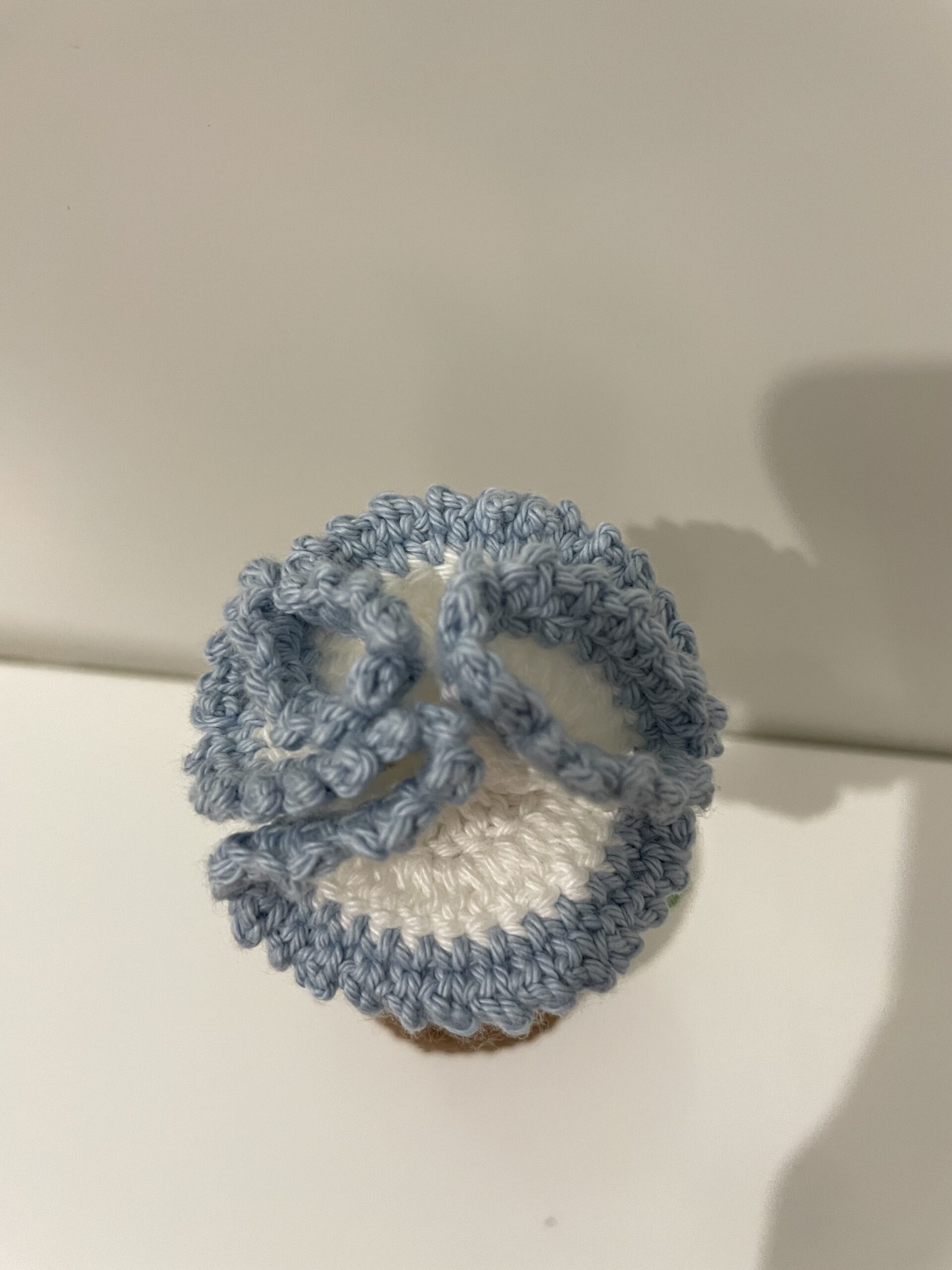 Oeillet en pot – Image 2